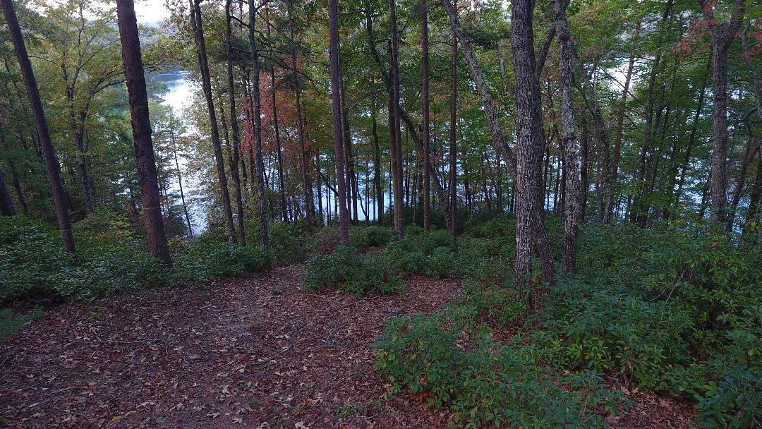 W90 Buttercup Way Sunset, SC 29685 - Photo 8 of 14 Gallery Image 8