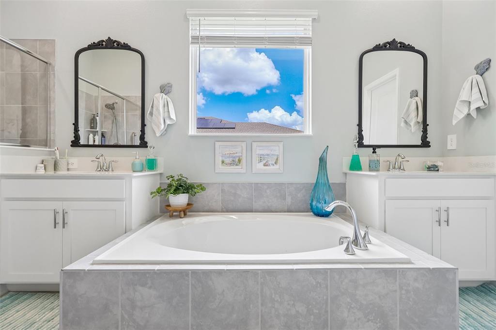 6049 Claystone Way Mount Dora, FL 32757 - Photo 25 of 55 a bathroom with a tub a sink and mirror