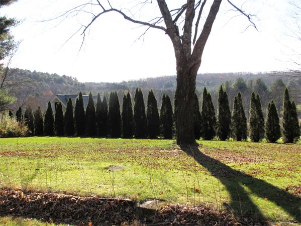 1035 Bernardston Road Greenfield, MA 01301 - Photo 9 of 30 Gallery Image 9