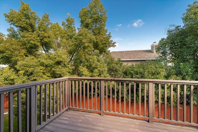 a view of a backyard with large tree