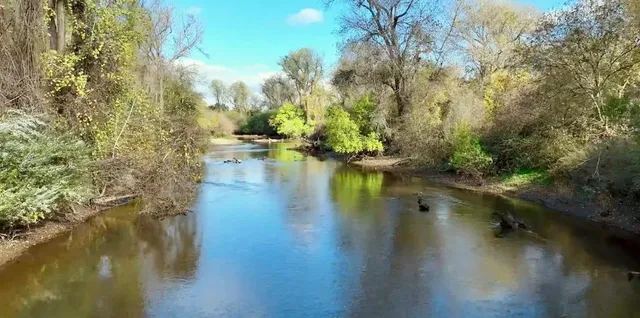 $715,000 | 442 South Manley Road, Ripon, CA 95366