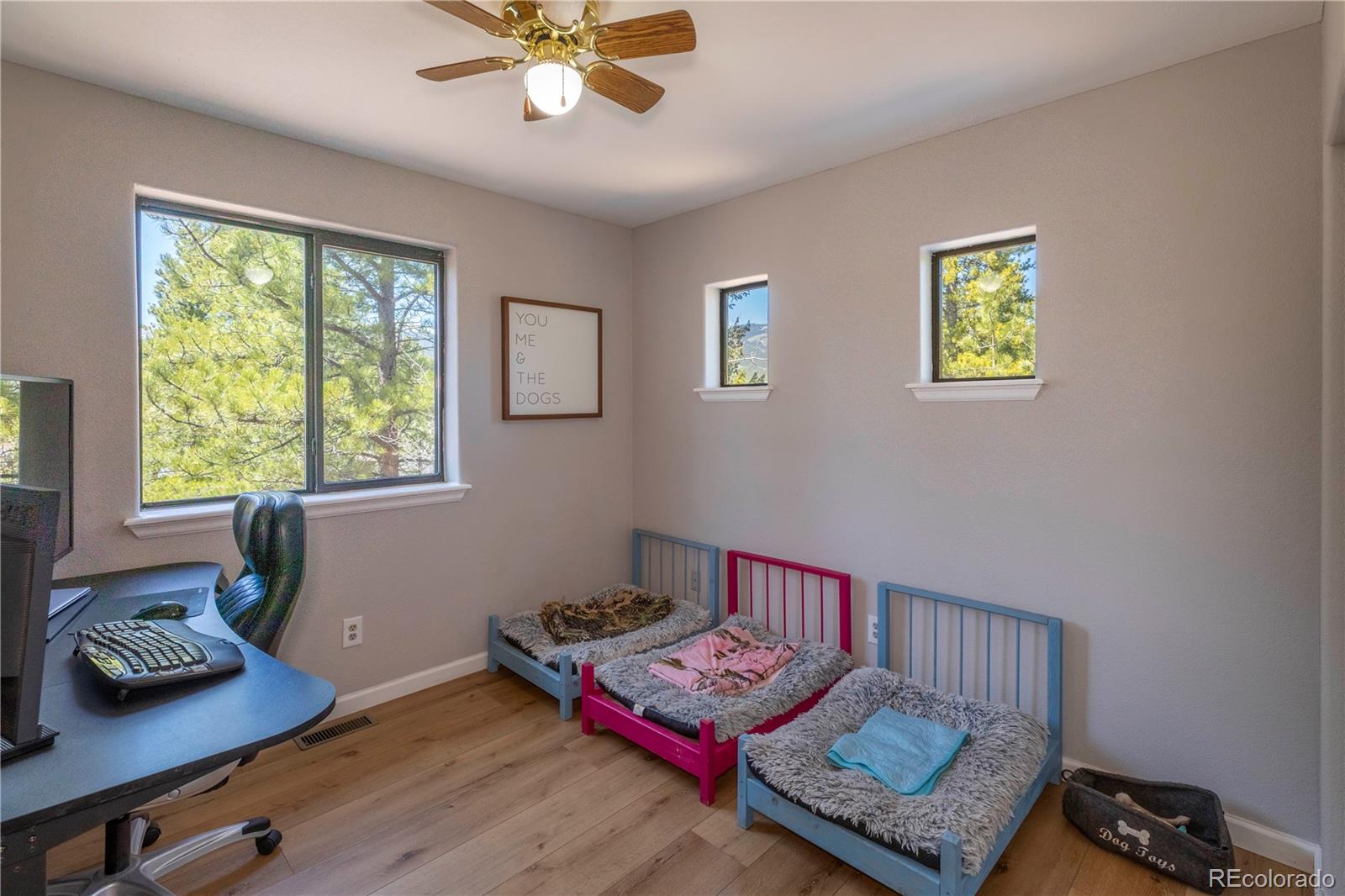 51 Schooley Road Bailey, CO 80421 - Photo 13 of 41