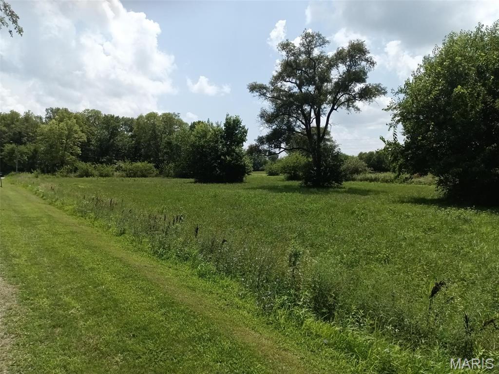 185 Montgomery Avenue Nokomis, IL 62075 - Photo 2 of 2