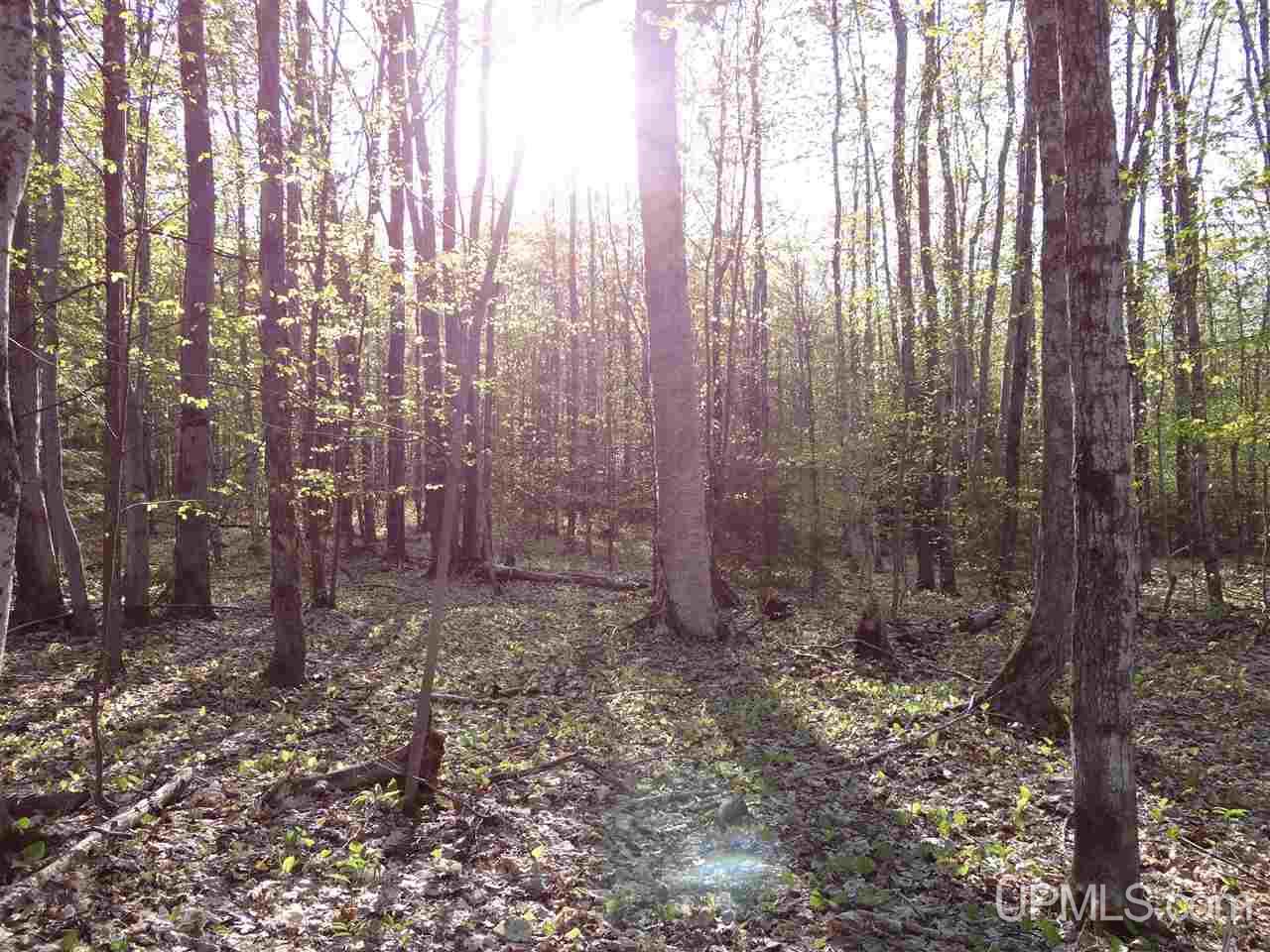 Tbd Rauhala Road, Unit PARCEL 7 Atlantic Mine, MI 49931 - Photo 10 of 15