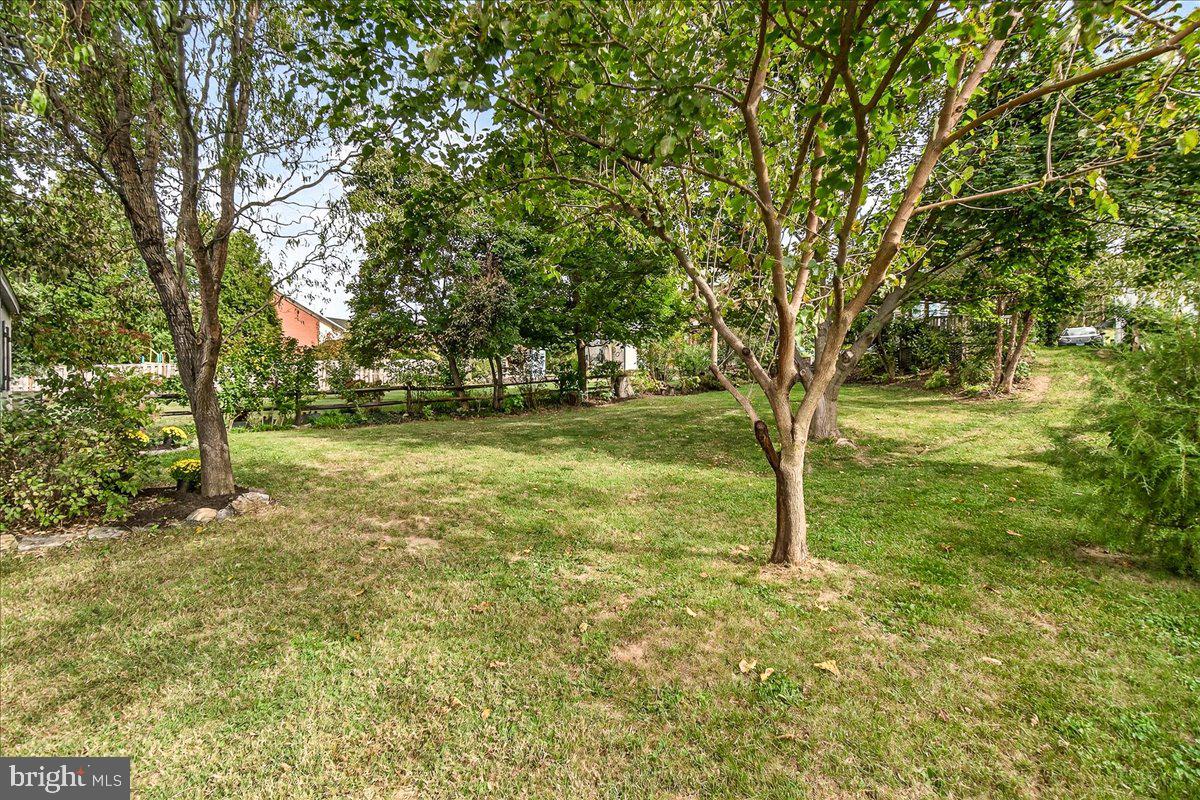 144 South Main Street Boonsboro, MD 21713 - Photo 45 of 48 a view of a yard with a tree