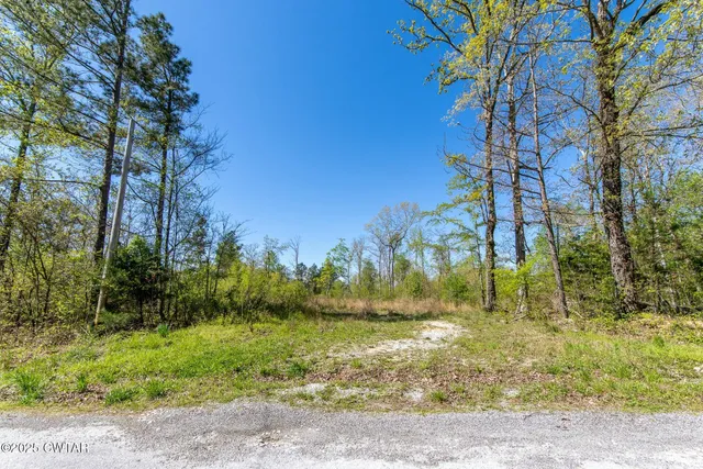 $224,900 | 0 Barren Springs Road, Hollow Rock, TN 38342