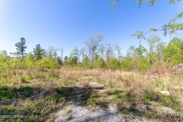 $224,900 | 0 Barren Springs Road, Hollow Rock, TN 38342