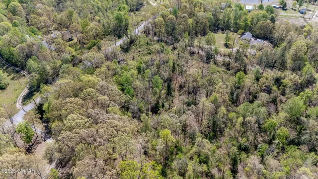 a view of backyard with green space