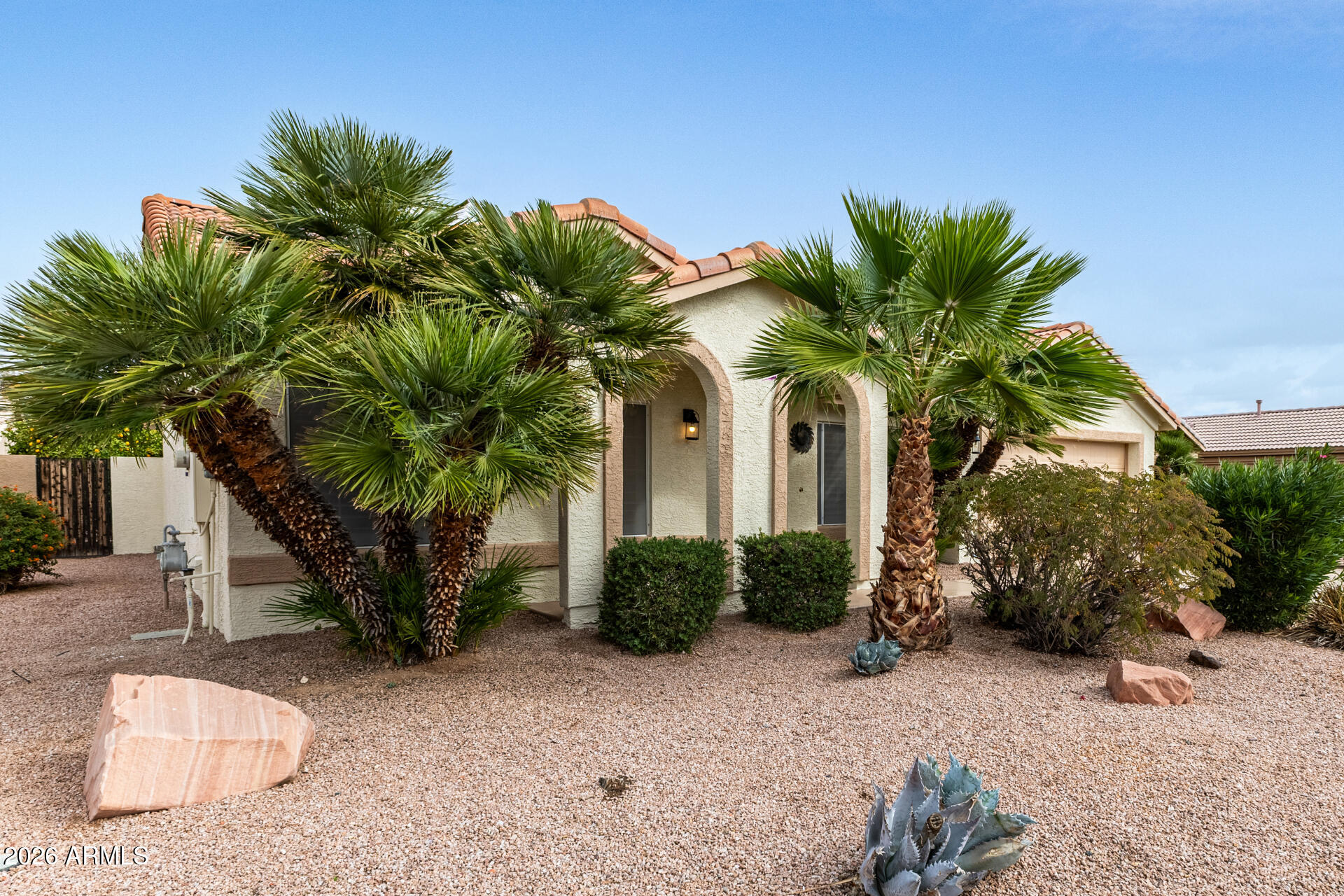 15764 Piccadilly Road Goodyear, AZ 85395 - Photo 3 of 31 a palm tree sitting in front of a house with a yard