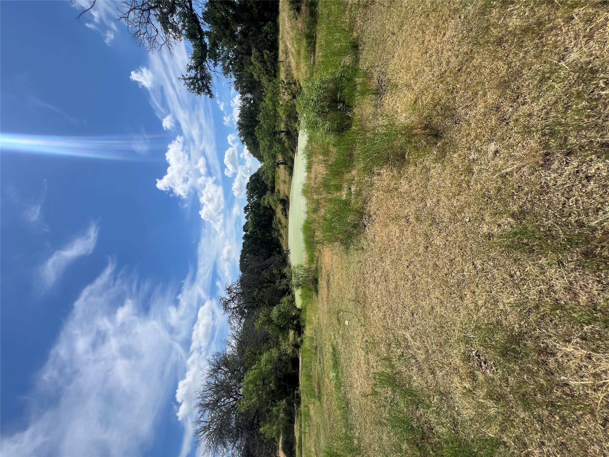 200/ Shady Grove Road Bertram, TX 78605 - Photo 13 of 17 Green pastures surround a serene pond, offering expansive views and a peaceful setting.