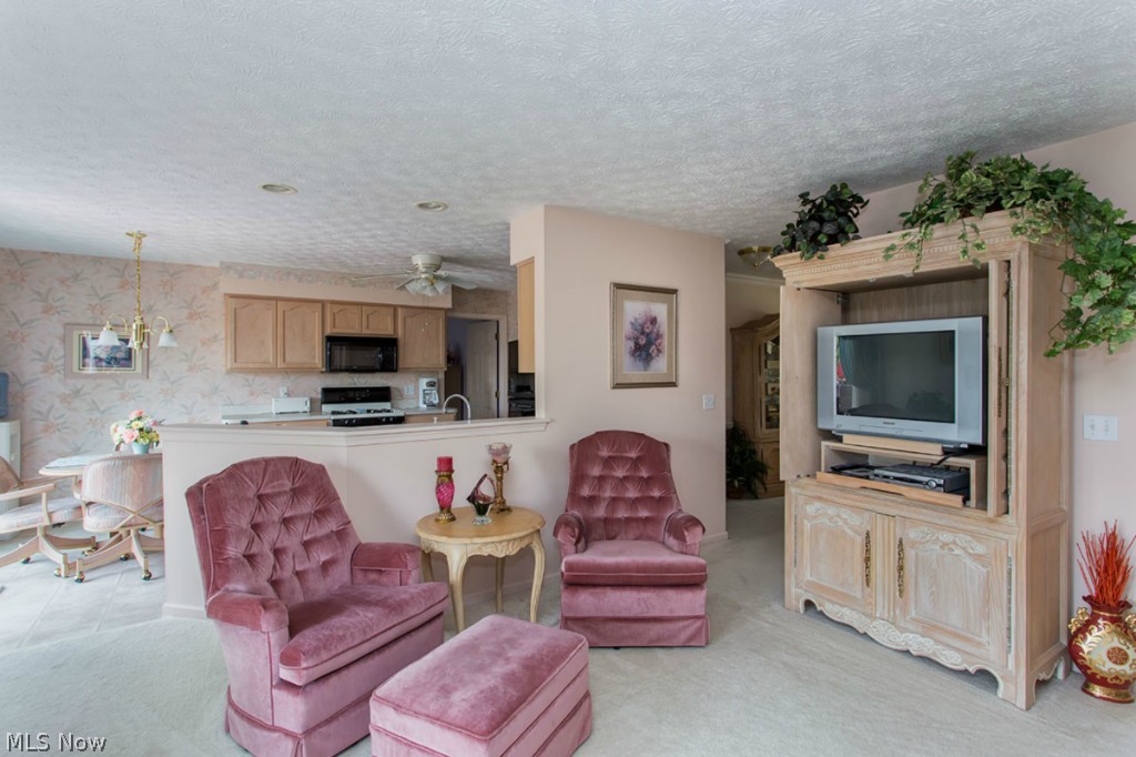 7223 Ward Road Cleveland, OH 44134 - Photo 10 of 25