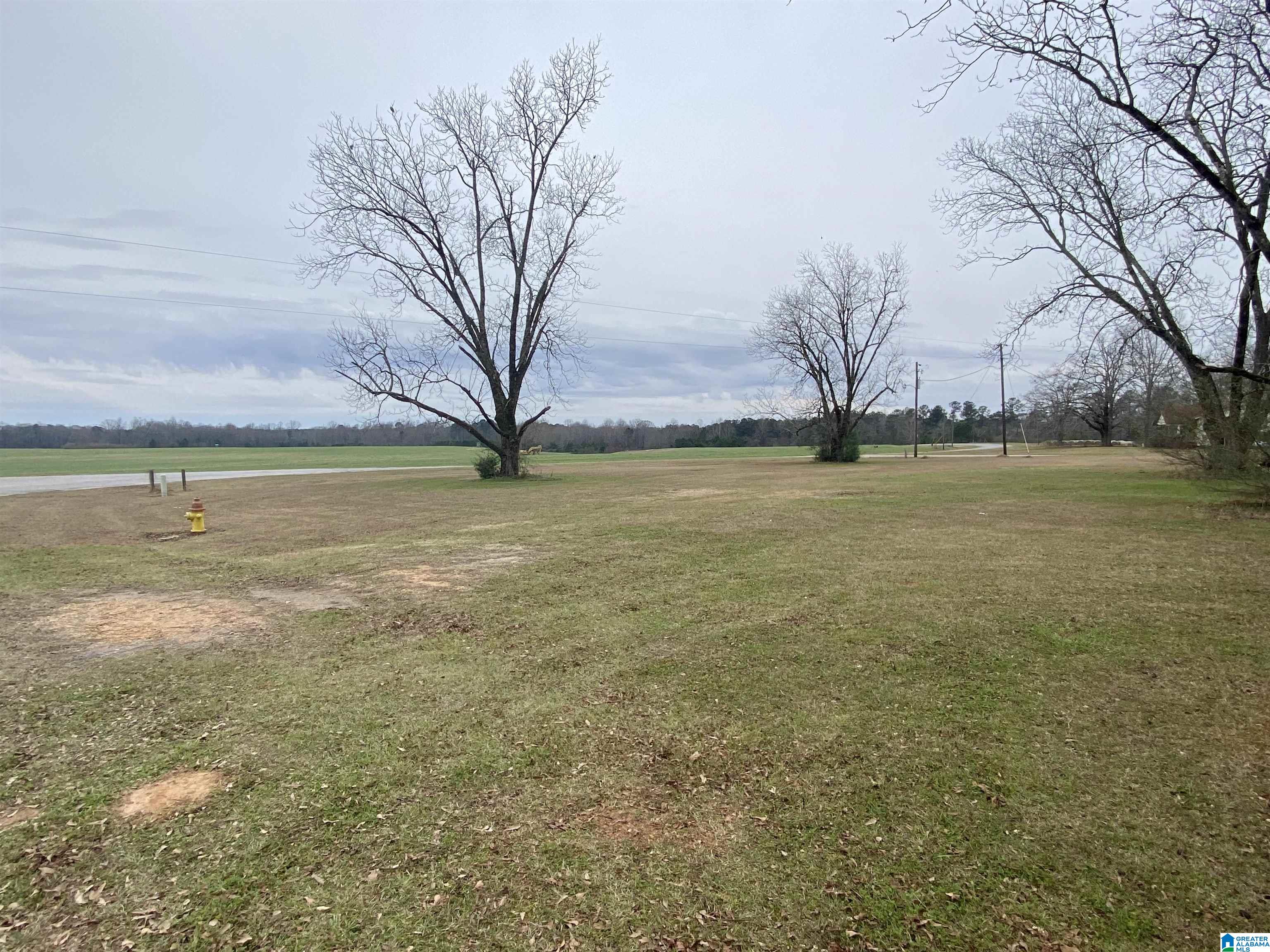 816 Tuscaloosa Road Thorsby, AL 35171 - Photo 4 of 7