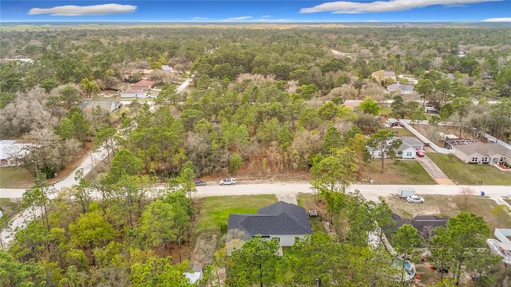 15062 Mt Ivy Road Weeki Wachee, FL 34614 - Photo 60 of 64