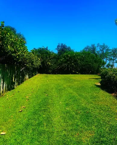 a view of a grassy field with trees in the background