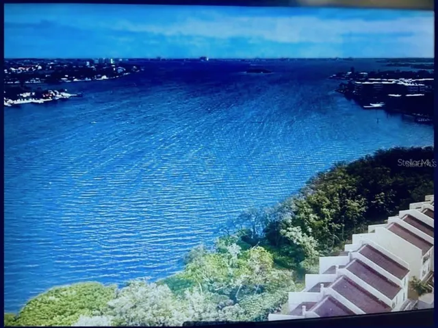 a view of a yard with an outdoor space