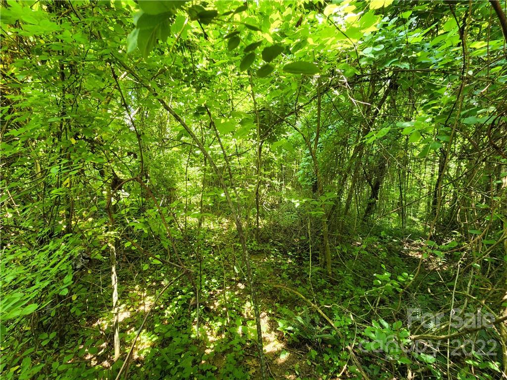 6232 White Oak Road Waynesville, NC 28785 - Photo 3 of 3 Gallery Image 3
