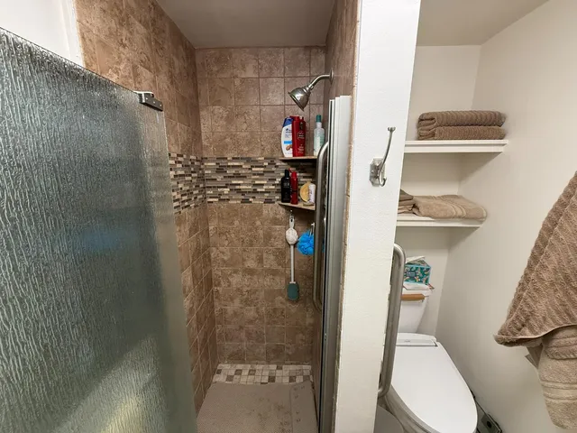 a bathroom with a shower and toilet