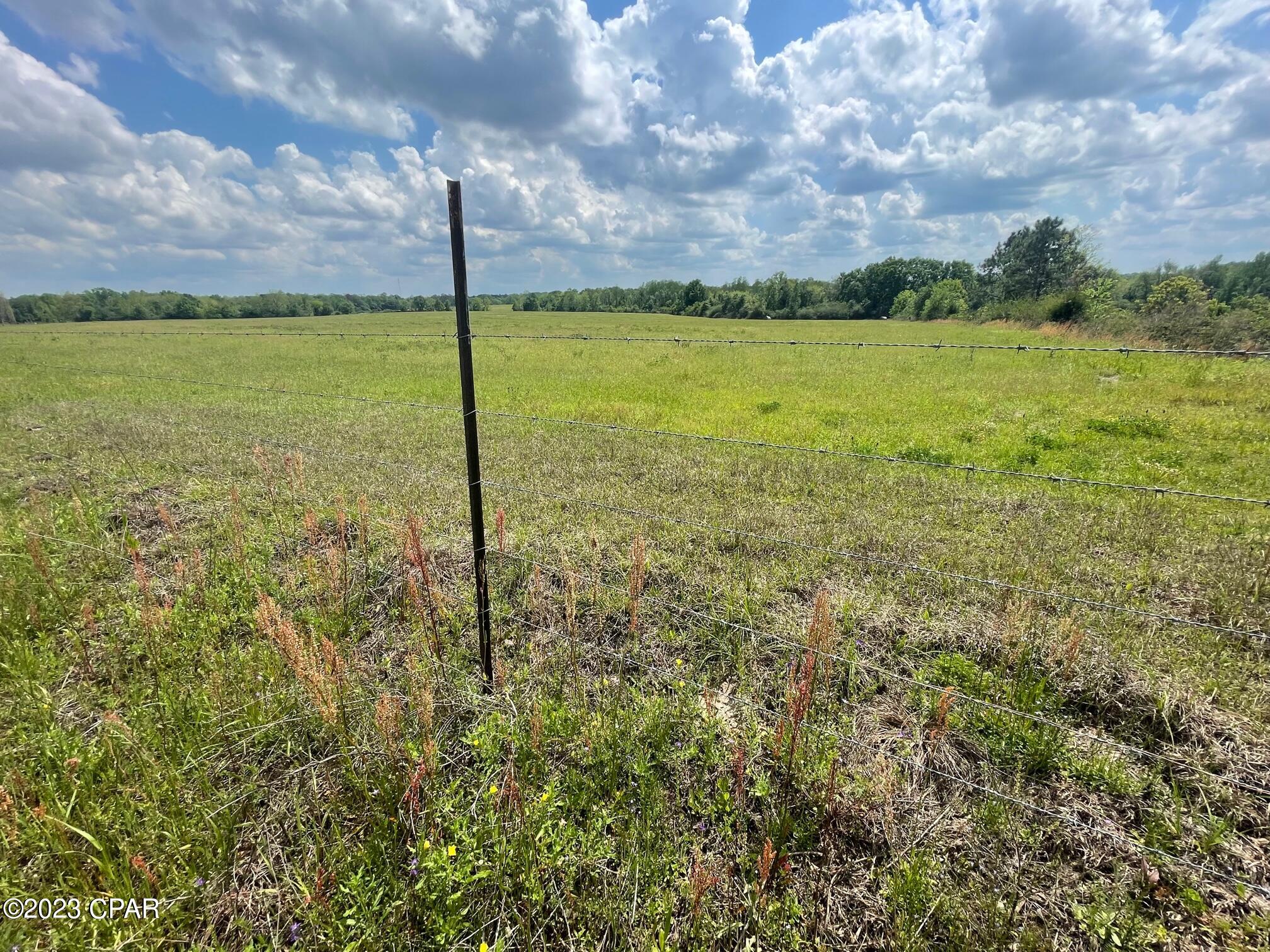 0 Whitaker Road Graceville, FL 32440 - Photo 8 of 26 Gallery Image 8