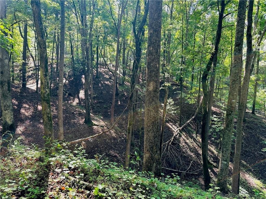 a backyard of a house with lots of green space and garden