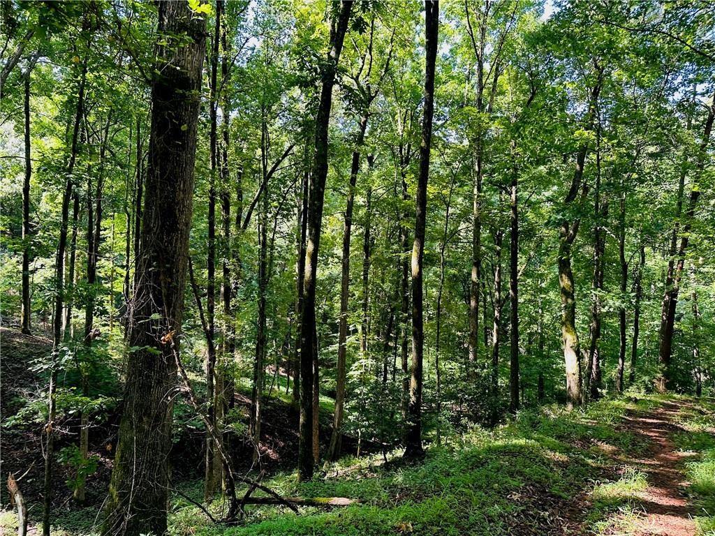 7.123 Halls Mill Road Dahlonega, GA 30533 - Photo 3 of 6 a view of outdoor space and trees