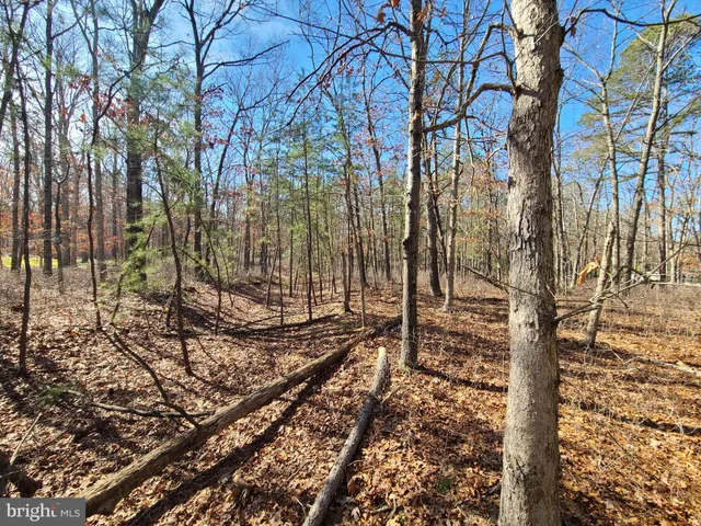 a view of a building with trees