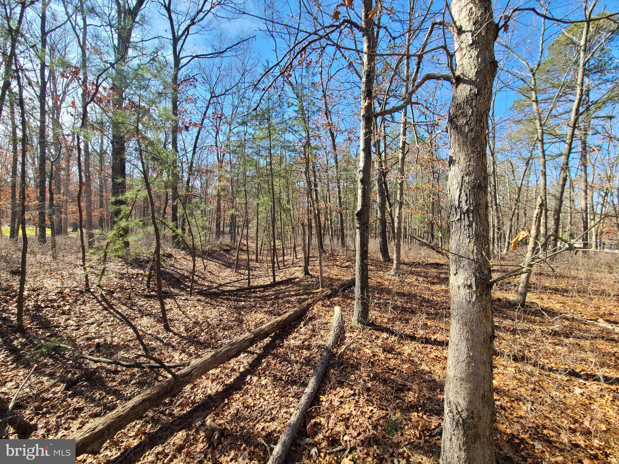 L7 Betsy Scull Road Egg Harbor Township, NJ 08234 - Photo 3 of 5