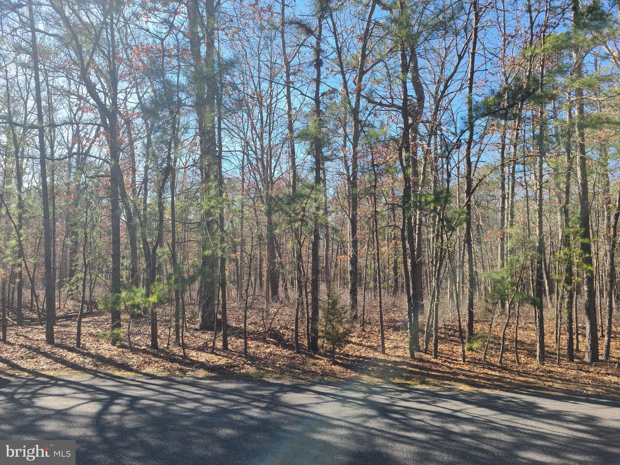 L7 Betsy Scull Road Egg Harbor Township, NJ 08234 - Photo 4 of 5