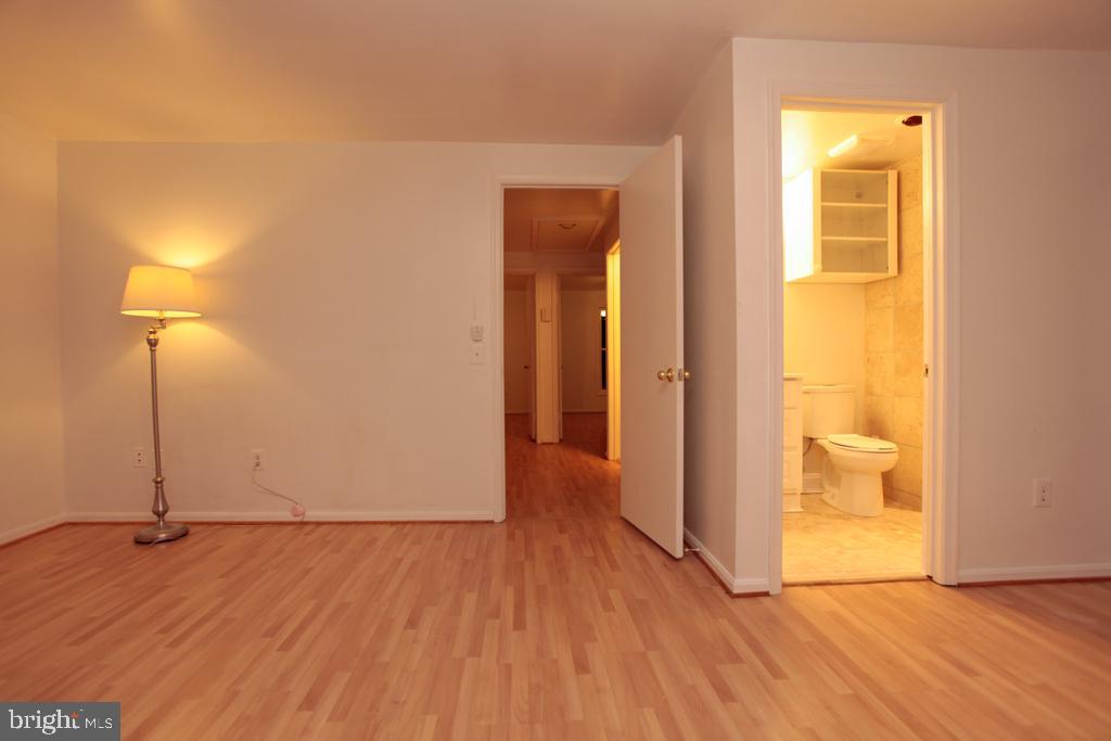109 Finale Terrace Silver Spring, MD 20901 - Photo 61 of 100 Master Bedroom