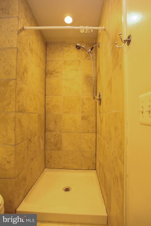 109 Finale Terrace Silver Spring, MD 20901 - Photo 64 of 100 Baster Bathroom