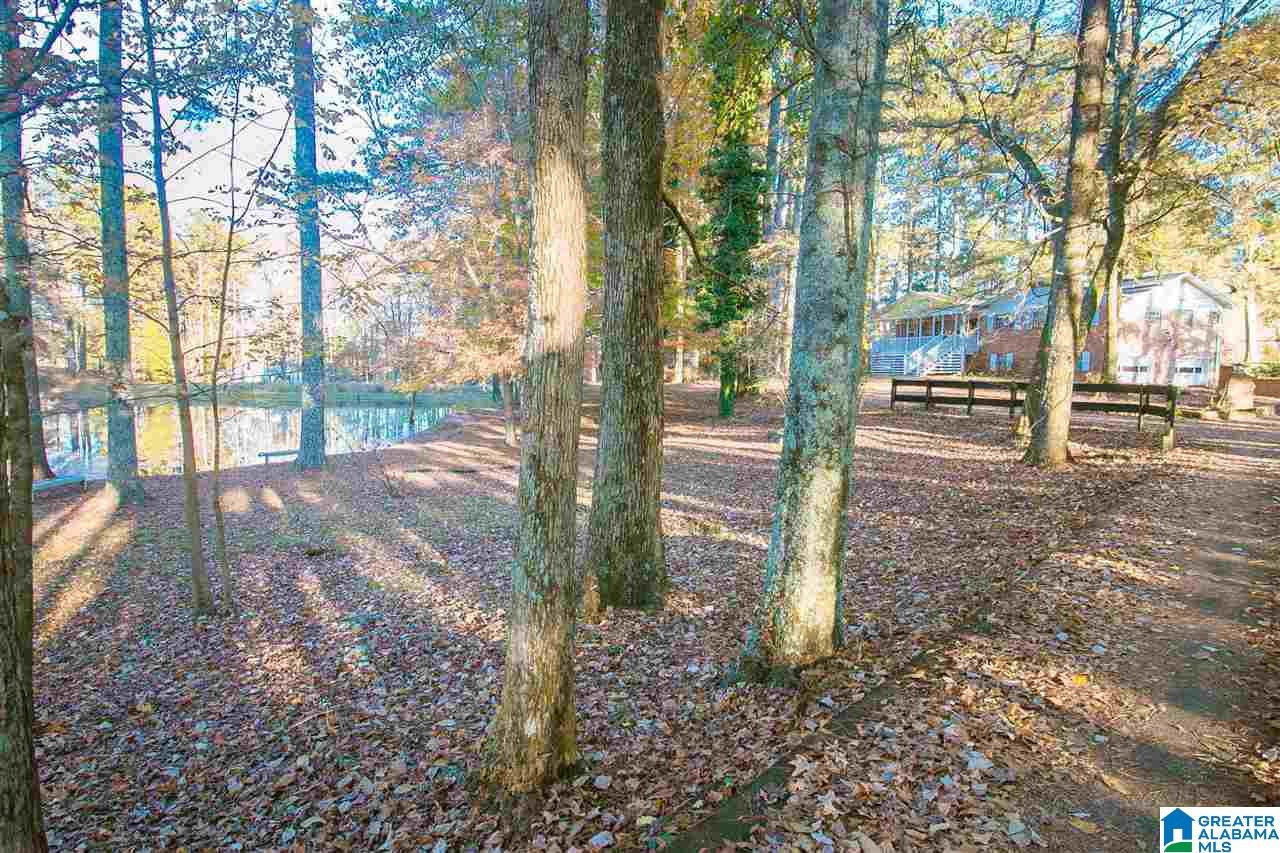 6575 Service Road Trussville, AL 35173 - Photo 33 of 36