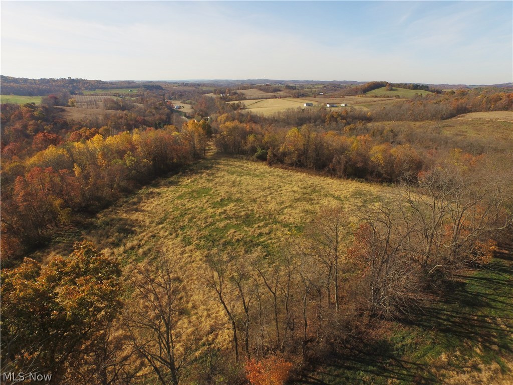 6252 Short Road Southwest Fresno, OH 43824 - Photo 11 of 13 Gallery Image 11