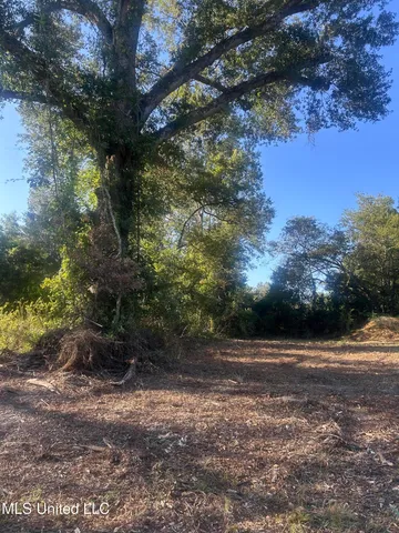 $6,000 | 224 West Holly Street, Magnolia, MS 39652