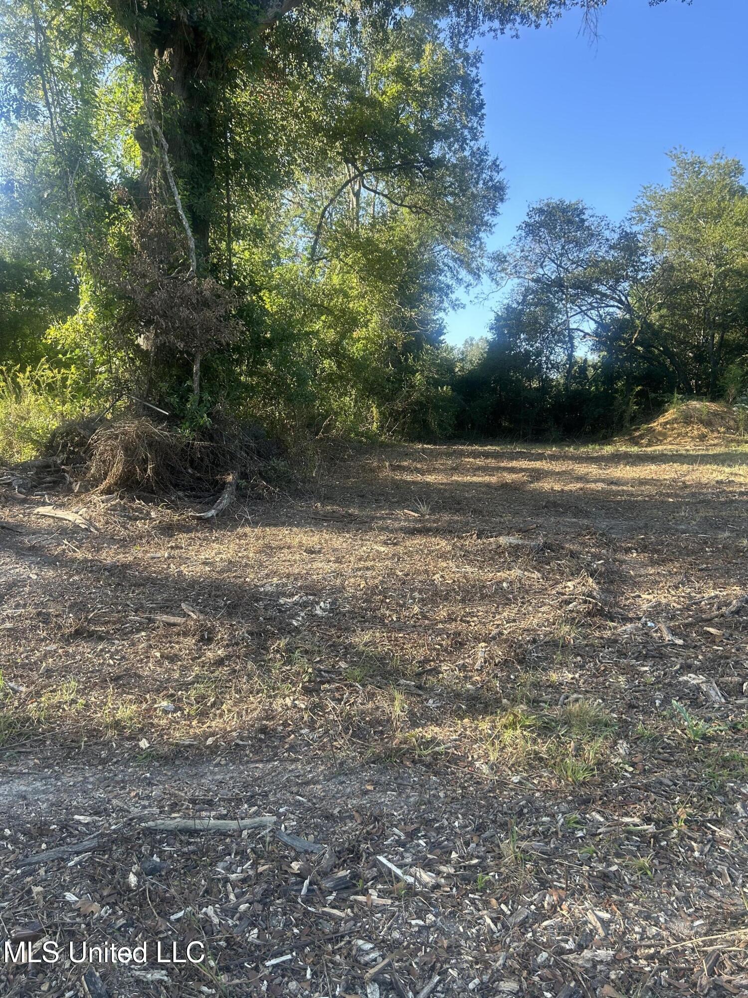 224 West Holly Street Magnolia, MS 39652 - Photo 3 of 6 IMG_0600