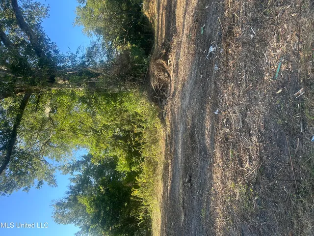 $6,000 | 224 West Holly Street, Magnolia, MS 39652