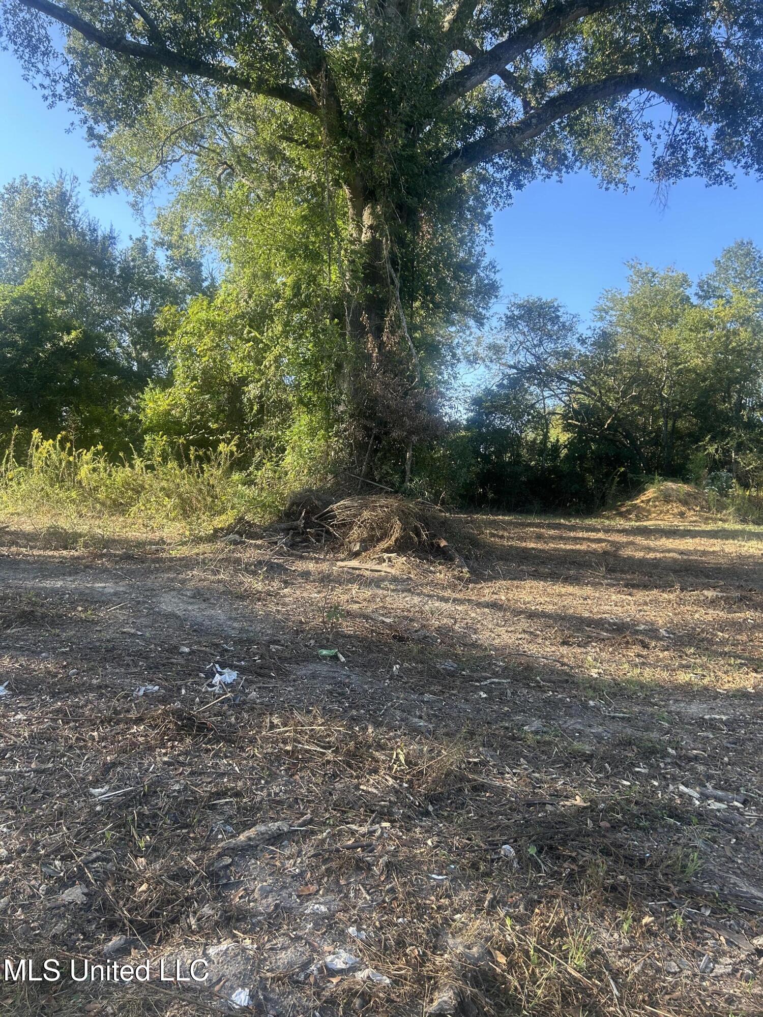 224 West Holly Street Magnolia, MS 39652 - Photo 5 of 6 IMG_0598