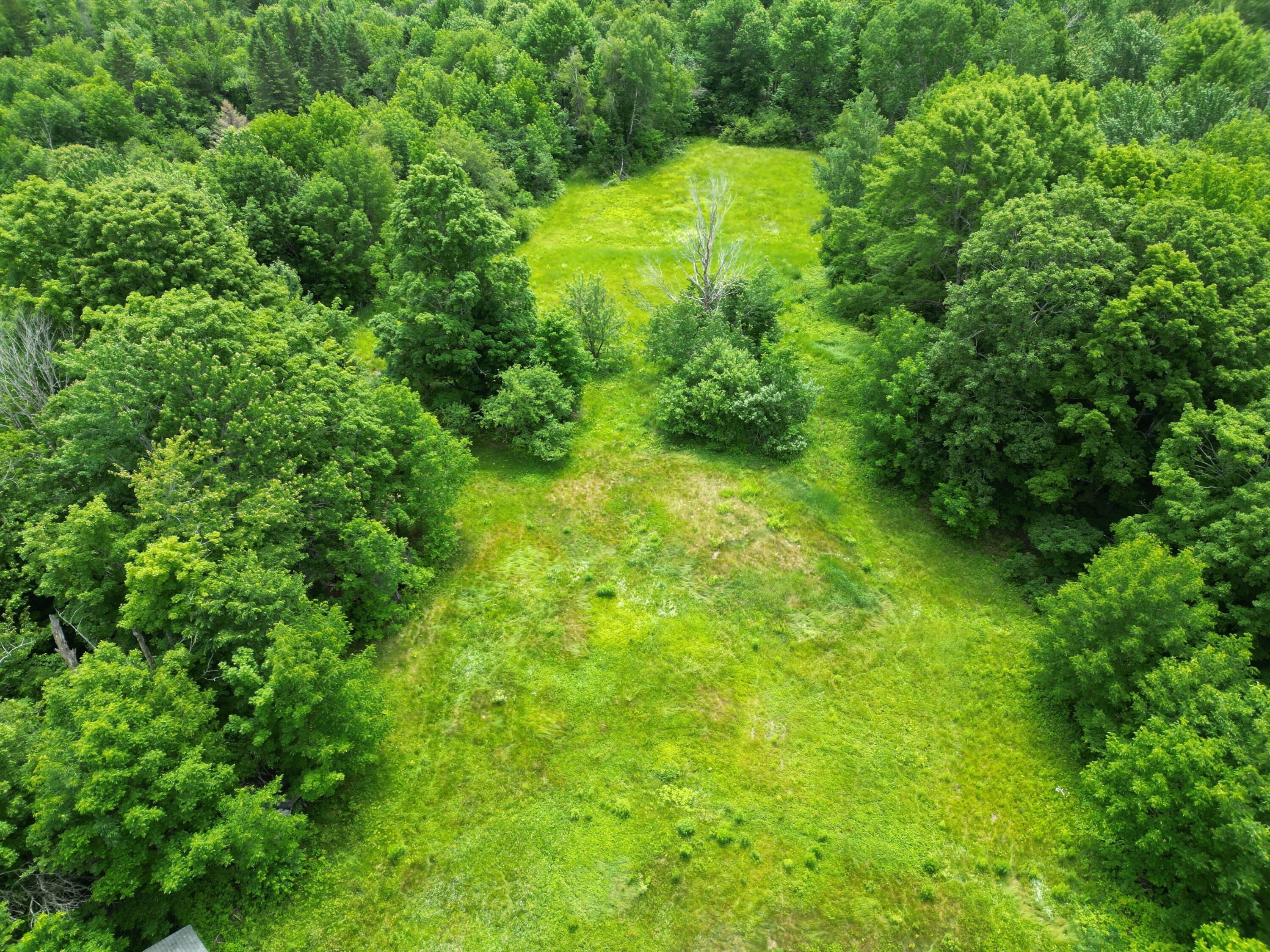 Lot 2 Main Road Carroll Plt, ME 04487 - Photo 12 of 14 DJI_0763