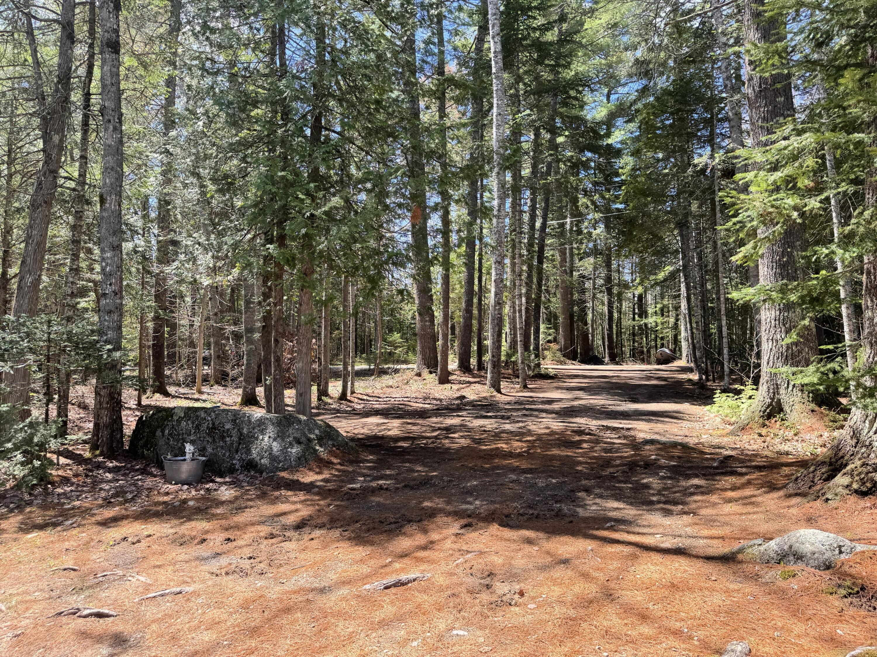 573 Point Road Otis, ME 04605 - Photo 23 of 23 Driveway