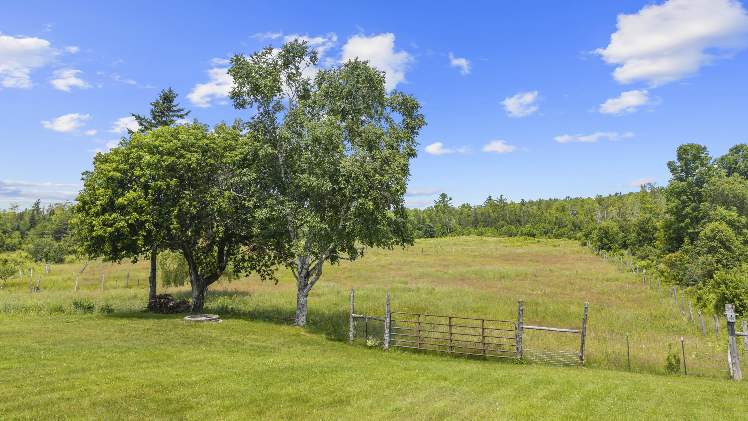 232 Wharff Road Guilford, ME 04443 - Photo 49 of 65 DJI_20260707120453_0871_D