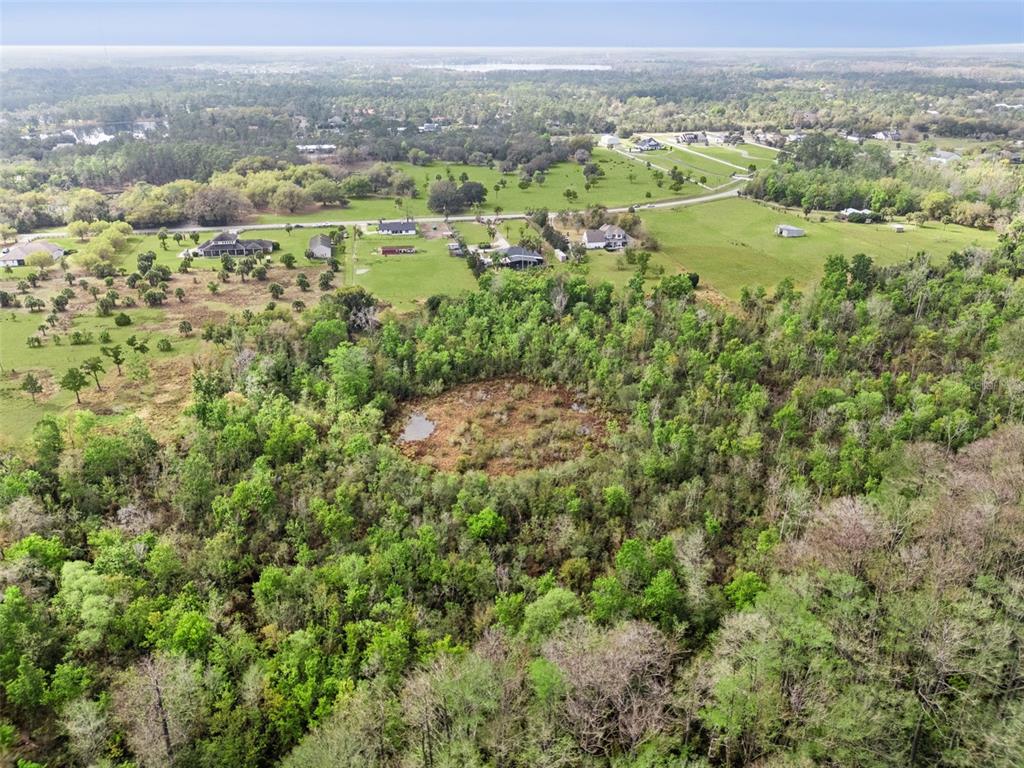 1330 Lake Mills Road Chuluota, FL 32766 - Photo 56 of 59 an aerial view of residential houses with outdoor space and trees