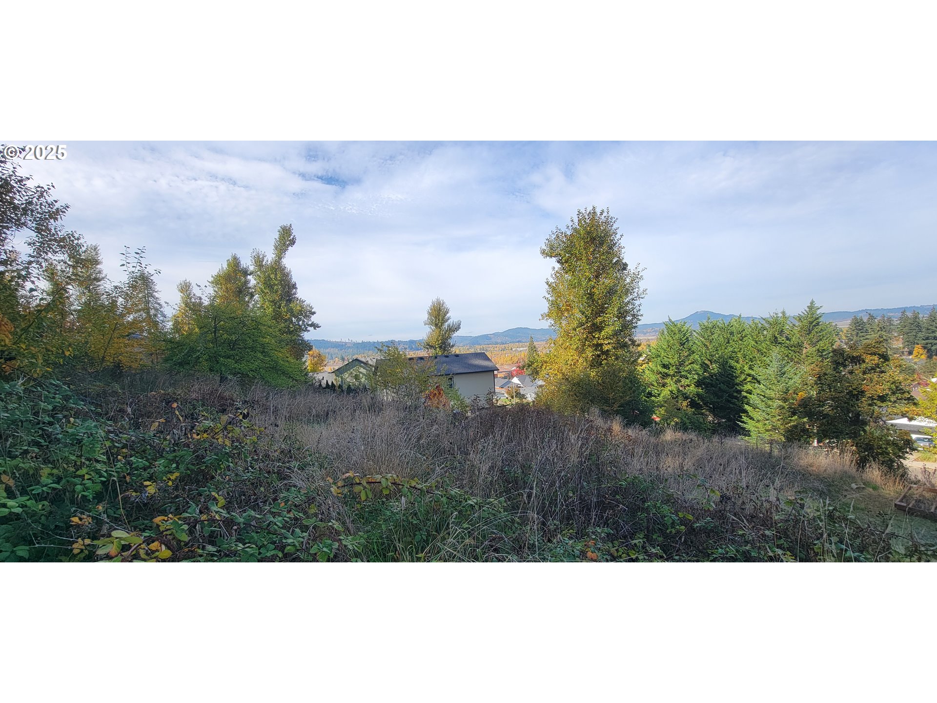 1 Queens Avenue, Unit 1 Creswell, OR 97426 - Photo 14 of 46