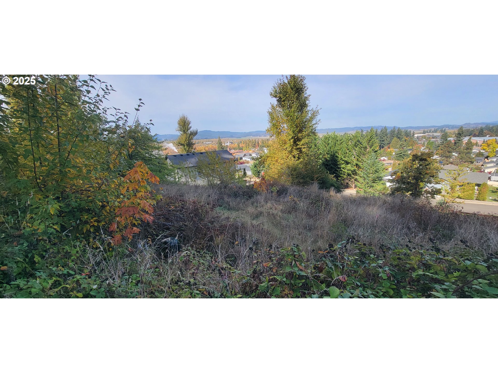 1 Queens Avenue, Unit 1 Creswell, OR 97426 - Photo 19 of 46