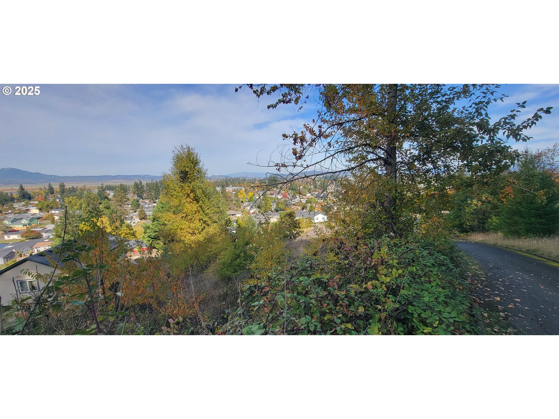 1 Queens Avenue, Unit 1 Creswell, OR 97426 - Photo 20 of 46