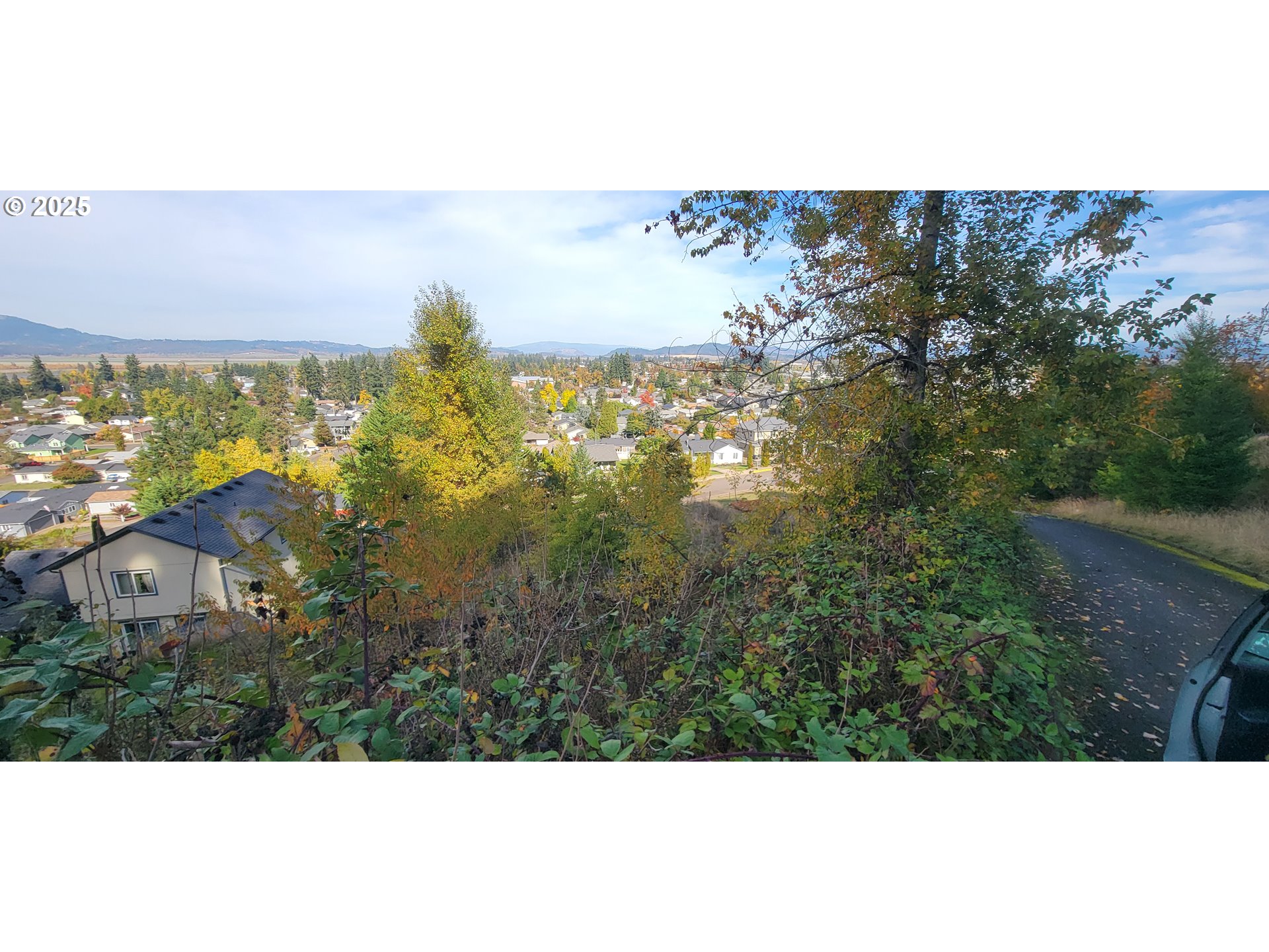 1 Queens Avenue, Unit 1 Creswell, OR 97426 - Photo 21 of 46