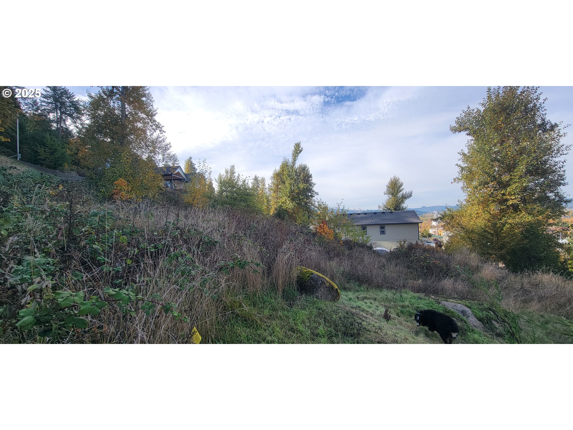 1 Queens Avenue, Unit 1 Creswell, OR 97426 - Photo 29 of 46