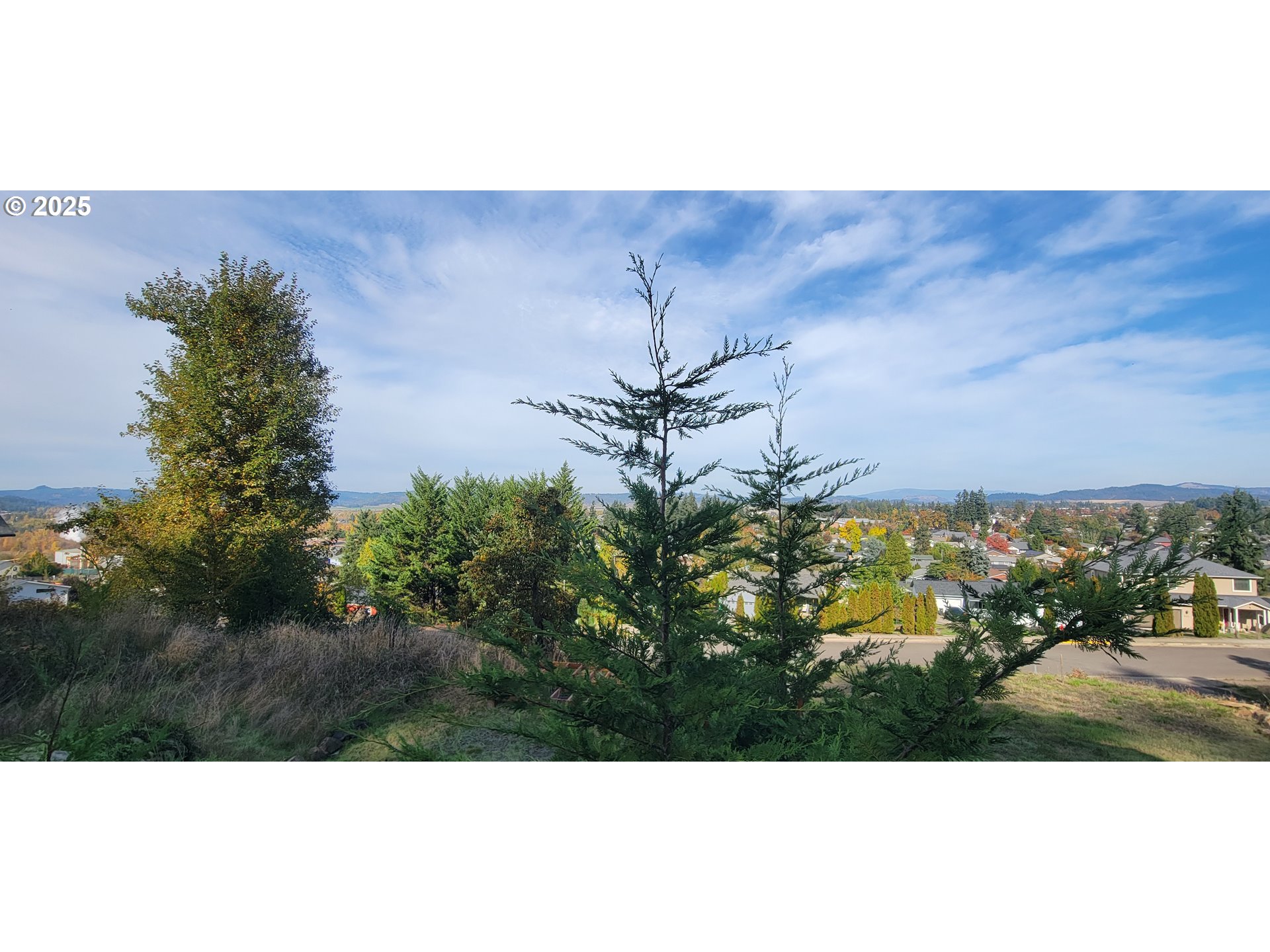 1 Queens Avenue, Unit 1 Creswell, OR 97426 - Photo 31 of 46