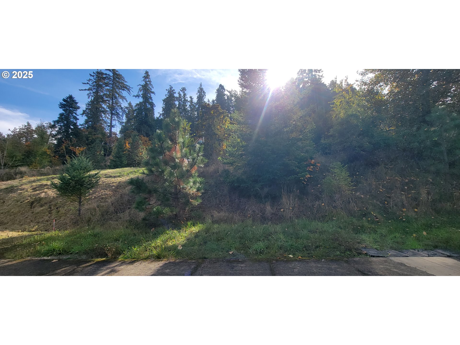 1 Queens Avenue, Unit 1 Creswell, OR 97426 - Photo 38 of 46