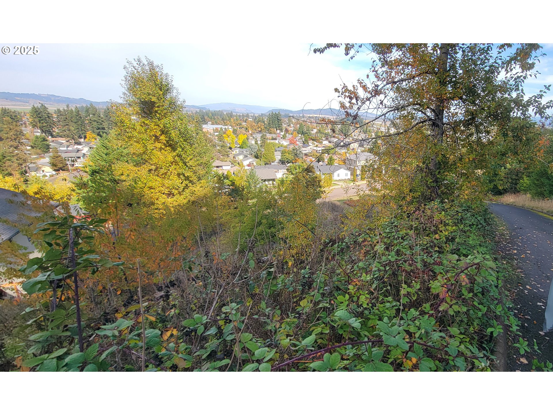 1 Queens Avenue, Unit 1 Creswell, OR 97426 - Photo 4 of 46