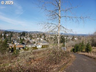 1 Queens Avenue, Unit 1 Creswell, OR 97426 - Photo 44 of 46