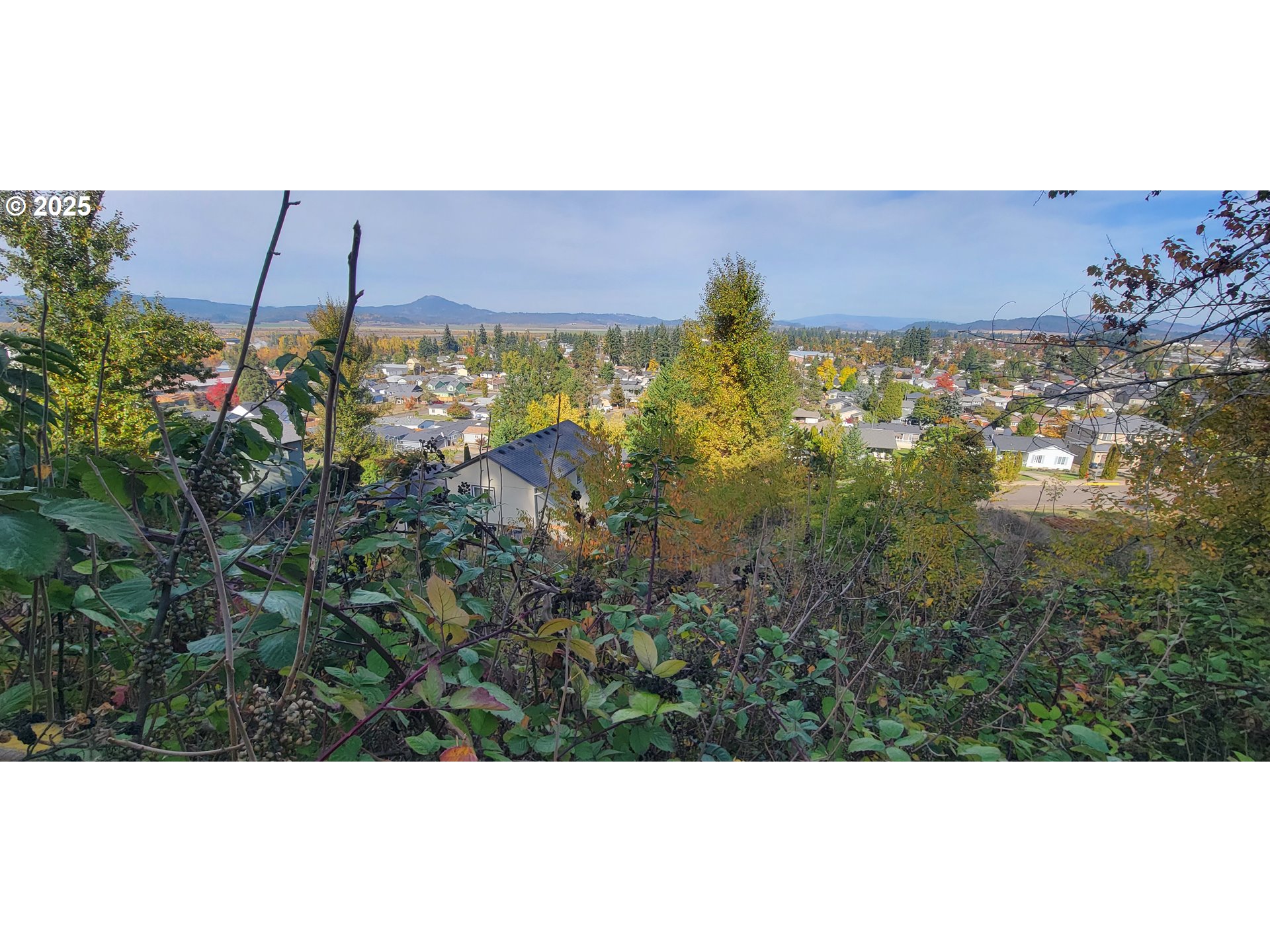 1 Queens Avenue, Unit 1 Creswell, OR 97426 - Photo 7 of 46