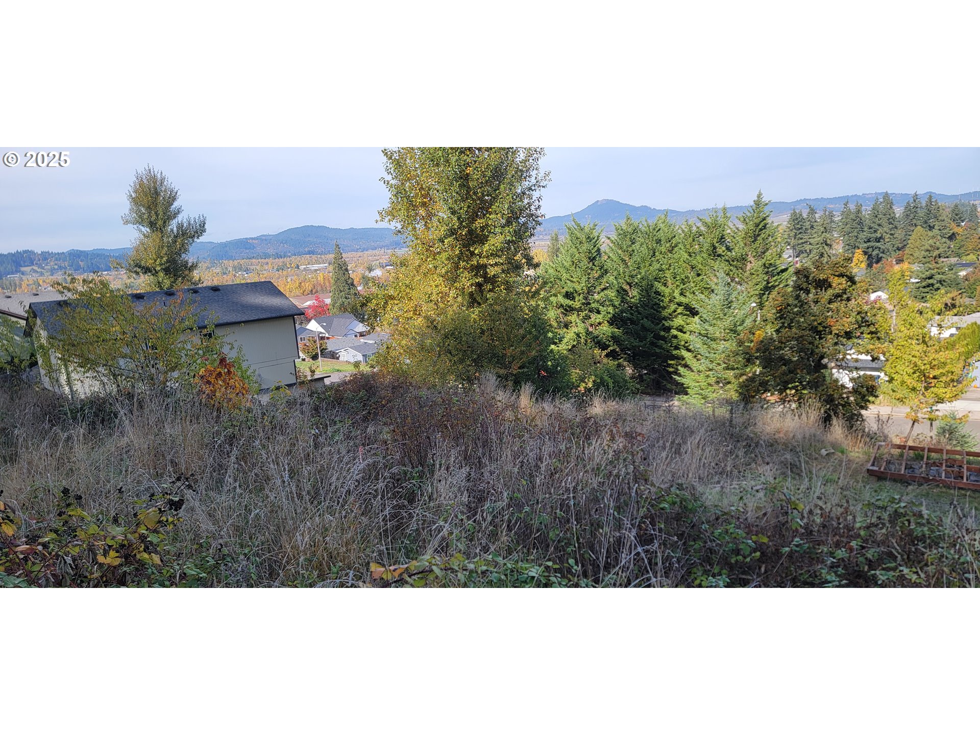 1 Queens Avenue, Unit 1 Creswell, OR 97426 - Photo 9 of 46